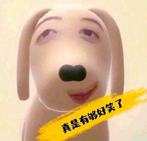 福州遛狗驯龙高手-炫神福州笑话