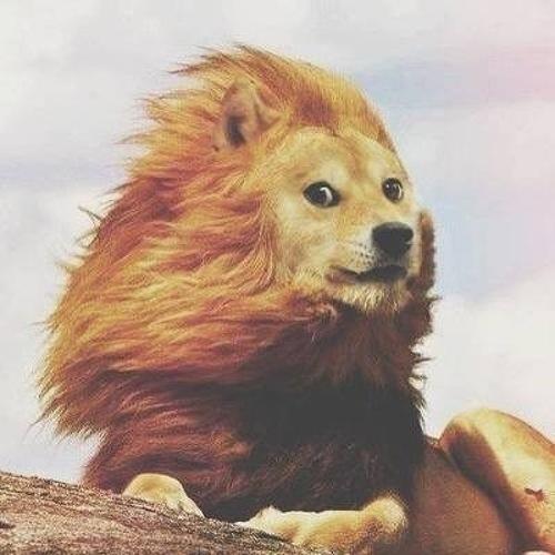 模因污染-doge表情包