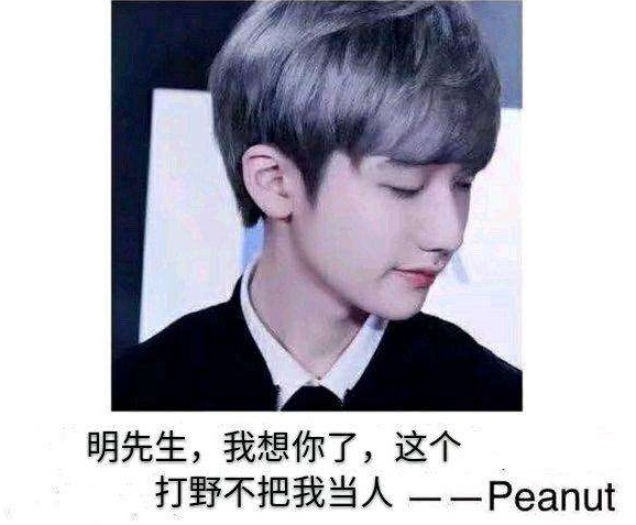 小花生变成小刷生
