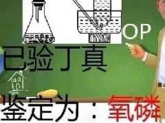 氧磷什么梗 已验丁真鉴定为氧磷表情包